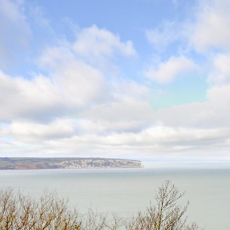 Apartmán Stunning Ocean Views - Isle Of Wight Shanklin Exteriér fotografie